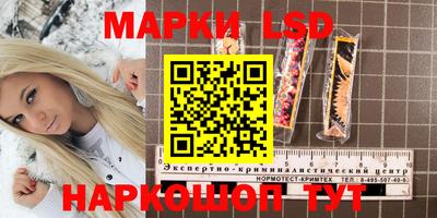 ГАЛЛЮЦИНОГЕННЫЕ ГРИБЫ Берёзовский