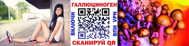 цена наркотик  Березники  Галлюциногенные грибы GOLDEN TEACHER 