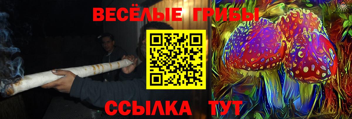 Березники  Галлюциногенные грибы мицелий  Галлюциногенные грибы мухоморы  Вход с VPN 